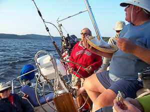 Day Sail, Saint John River, New Brunswick